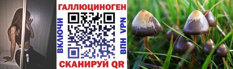 Галлюциногенные грибы Magic Shrooms  Долинск 